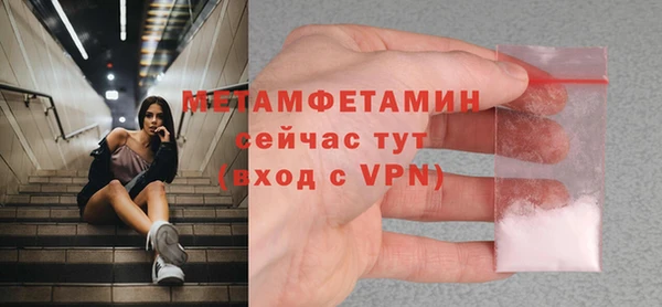 сатива Вяземский