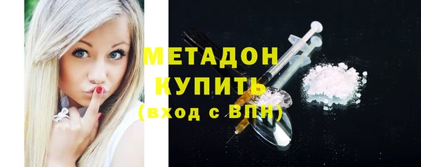 сатива Вяземский