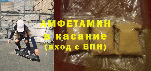 сатива Вяземский