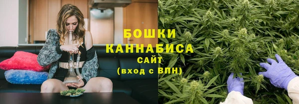 стаф Волосово